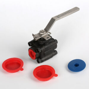 Z61 Socket Weld End Cover